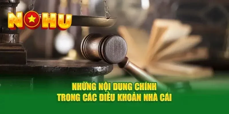 Điều khoản điều kiện nohu