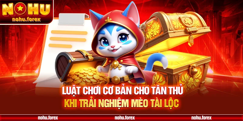 Luật chơi cơ bản cho tân thủ khi trải nghiệm mèo tài lộc